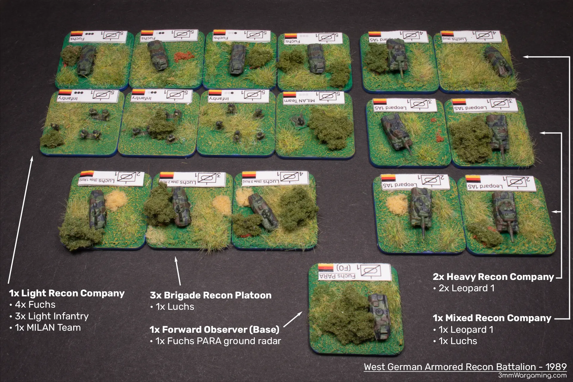 The West German Armored Recon Battalion in 1989